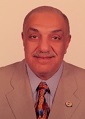 Tarek Mohamed Kamal Mohamed Metawie