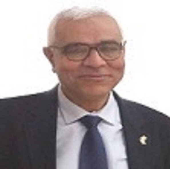Abdelmonem Awad Hegazy