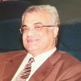 Mohamed A. Fahmy Zeid