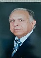 Mohamed Gamil Ramadan