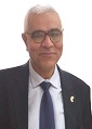 Professor Abdelmonem Awad Hegazy 