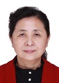 Hong Zhu