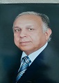 Mohamed Gamil Ramadan Speaker
