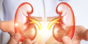 20th Annual Conference on Nephrology and Urology , Paris,France