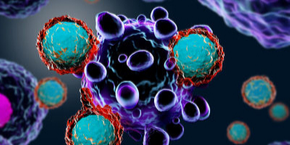 28th International Conference on Cancer Research and Pharmacology , Paris,France