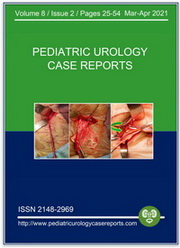 Pediatric Urology Case Reports