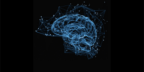 7th International Conference on Neuroscience and Neurological Disorders , London,UK