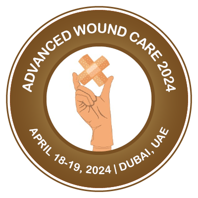 Wound Dressing: From Nanomaterials to Diagnostic Dressings and Healing  Evaluations