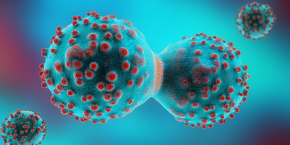 29th International Conference on Cancer and Oncology , London,UK