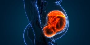 World Congress on Fetal and Maternal Medicine , Singapore City,singapore