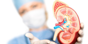 International Conference on Pediatrics and Pediatric Nephrology , Tokyo,Japan