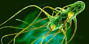 5th World Congress on Virology and Infectious Diseases , Edinburgh,Scotland