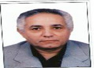 Dr. Mohamed Mostafa Shokry