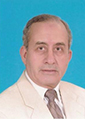 Mohamed Ihab Amin Fetouh