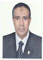Gamal Hassan A. El-Sokkary