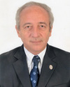 Professor Hisham N Tarraf
