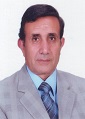 Professor Saber F. M. Moussa