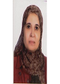 Sahar Youssef Al-Okbi
