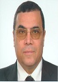 Gamal Samy Aly Mahmoud