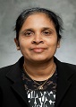 nanochemistry-2025-devika-chithrani-1241014883.jpg