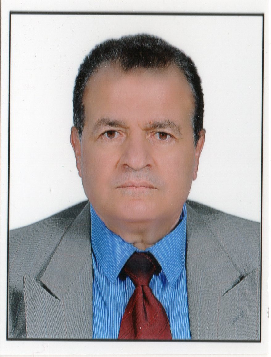 Dr Youssef El Gammal