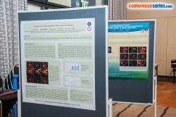 cs/past-gallery/1228/euro-immunology-2016-conference-series-llc--posters-1469698238.jpg