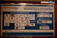 cs/past-gallery/1340/2nd-international-congress-on-epigenetics-and-chromatin-nov-6-8-2017-frankfurt-germany-3-1512126716.jpg
