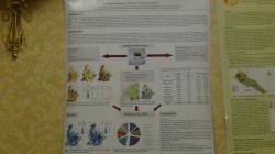 cs/past-gallery/183/earth-science-conferences-2012-conferenceseries-llc-omics-international-6-1450079633.jpg