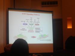 cs/past-gallery/225/cell-science-conferences-2012-conferenceseries-llc-omics-international-153-1450152410.jpg