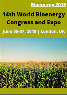 Bioenergy 2019