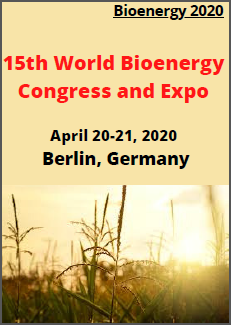 Bioenergy 2020	