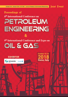 Petroleum Engineering 2018