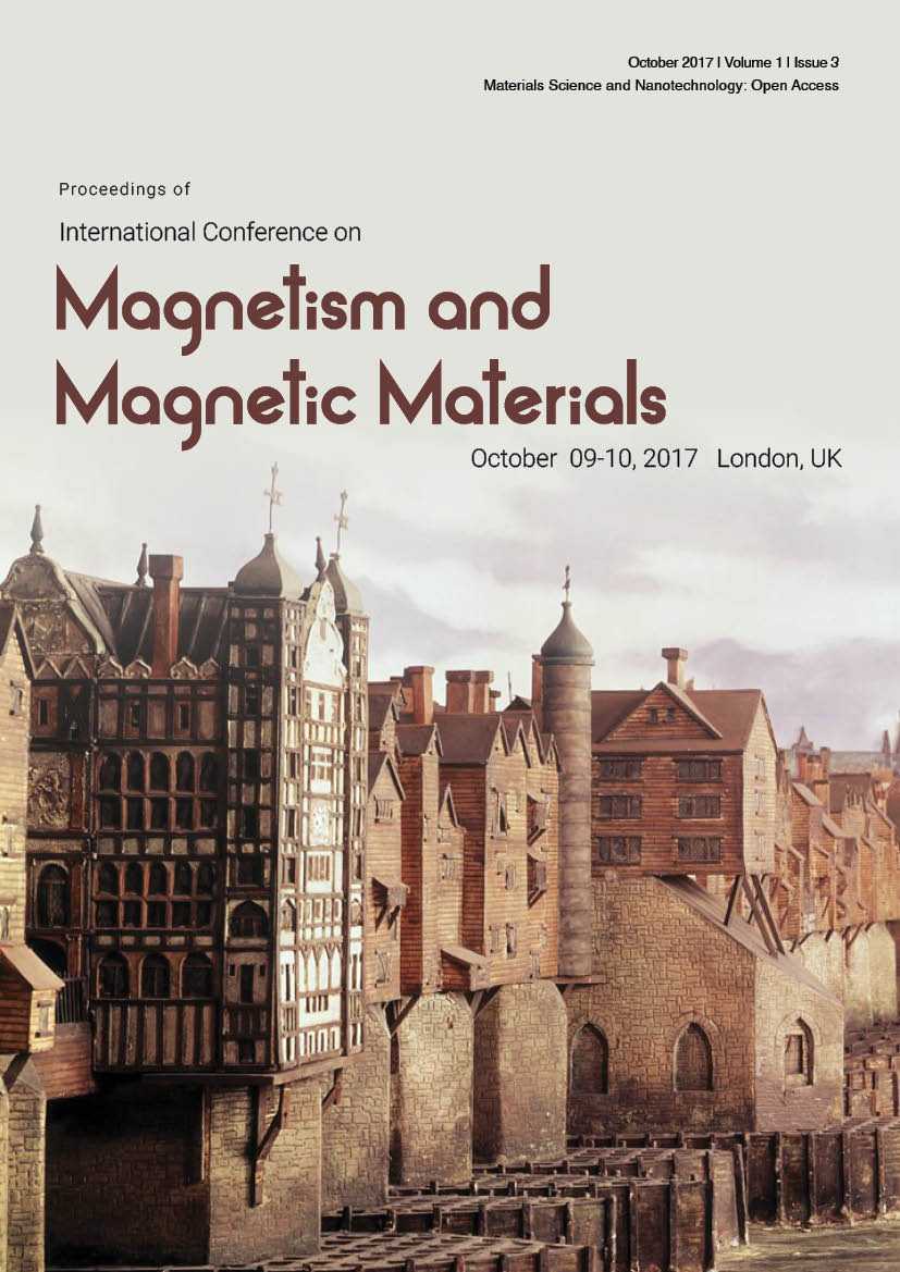 Magnetic Materials Proceedings