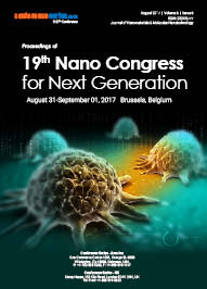 19th Nano congres