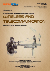 Wireless & Telecommunication 2017