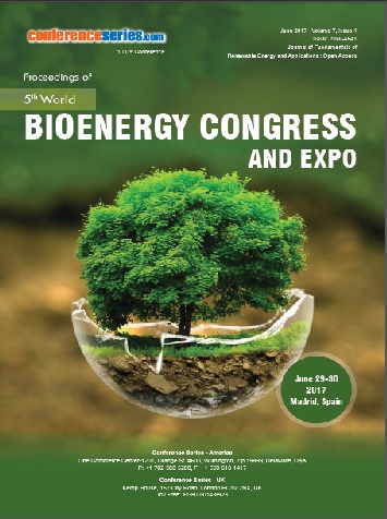 Bioenergy 2017