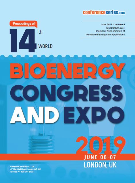 Bioenergy 2019