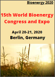Bioenergy 2020