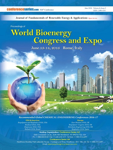 Bioenergy 2016