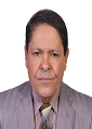 Nagy Abdulsamee Abdulhameed