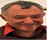 Andrei L. Gartel
