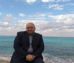 Hany M R Abdel Latif