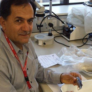 Javad Ghasemzadeh