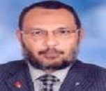 Mohamed Abd-Elghany Abd-Elaziz