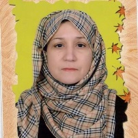 Professor Heba El-Zawawi