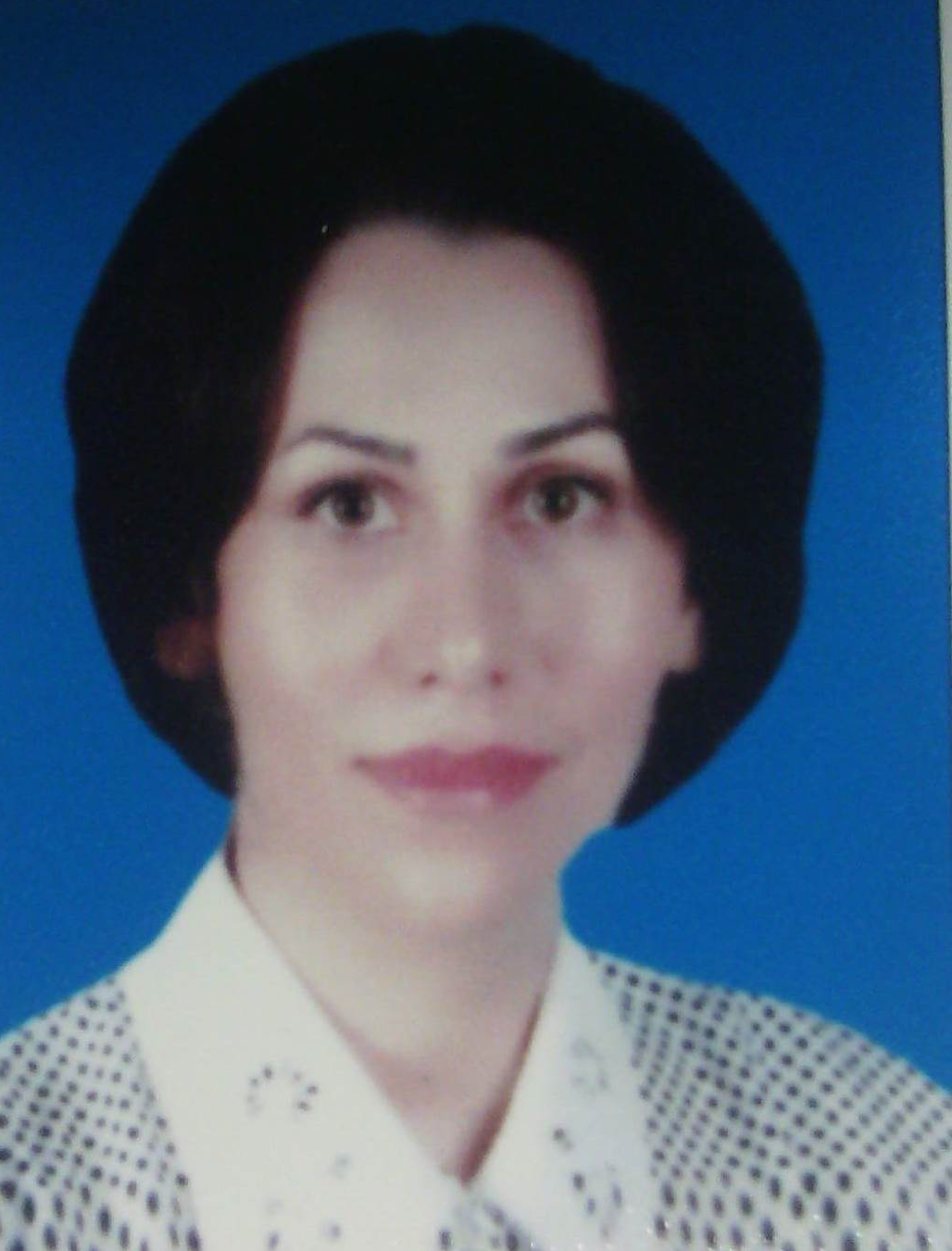 Mozhdeh Seyyedhamzeh