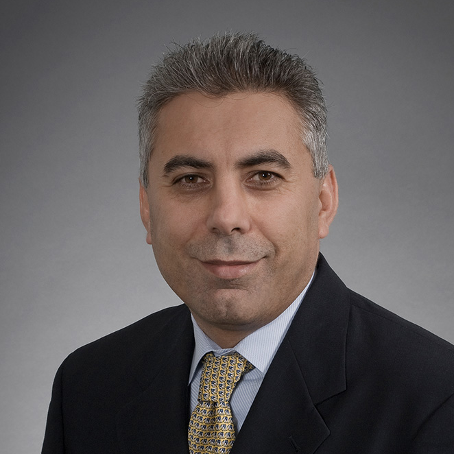 Ali H Mokdad