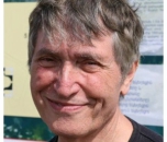 Michael Stark