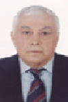 Tofik M Nagie