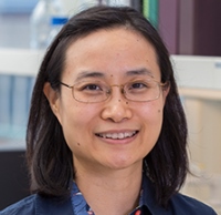 Ning Wu